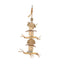 Bainbridge Naturals Mushroom Forage