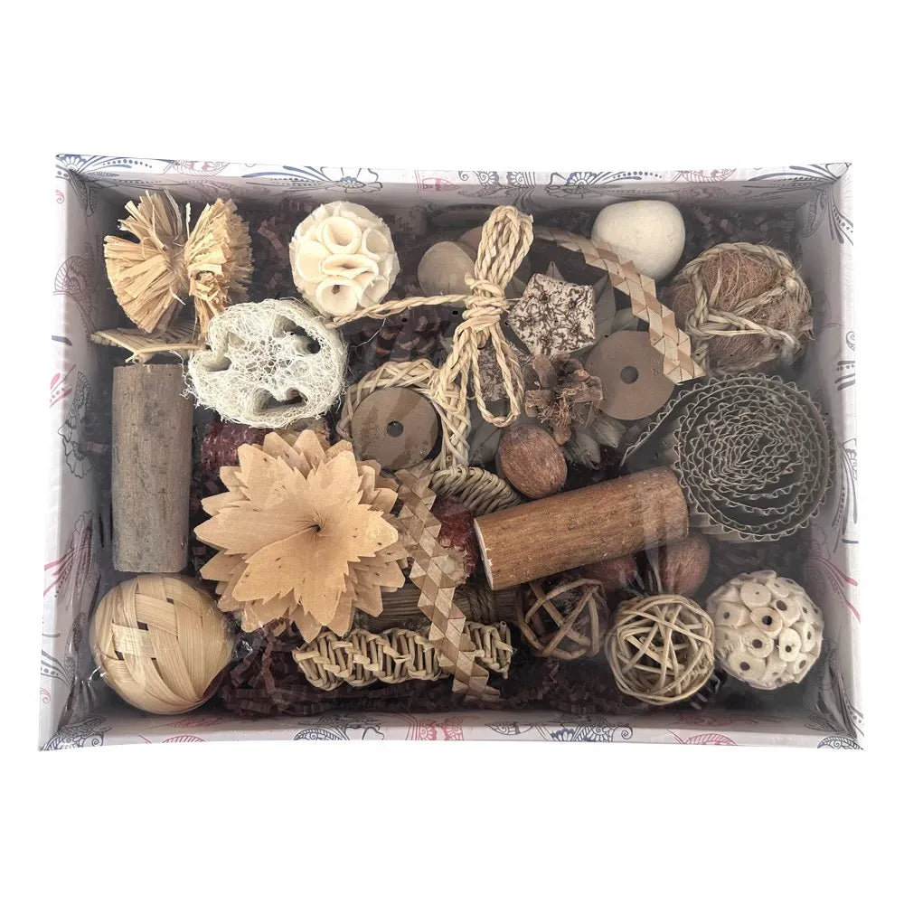 Beak Joy Peck & Play Foraging Box