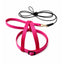 JMK Bird Harness & Leash / Single Colour