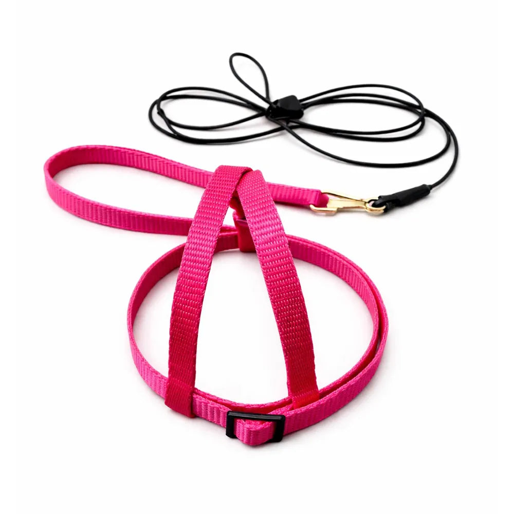 JMK Bird Harness & Leash / Single Colour