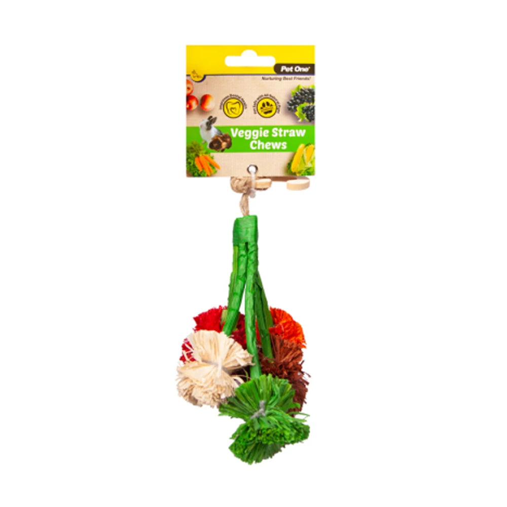 Veggie Straw Chew Hanging Broccoli from Pet One