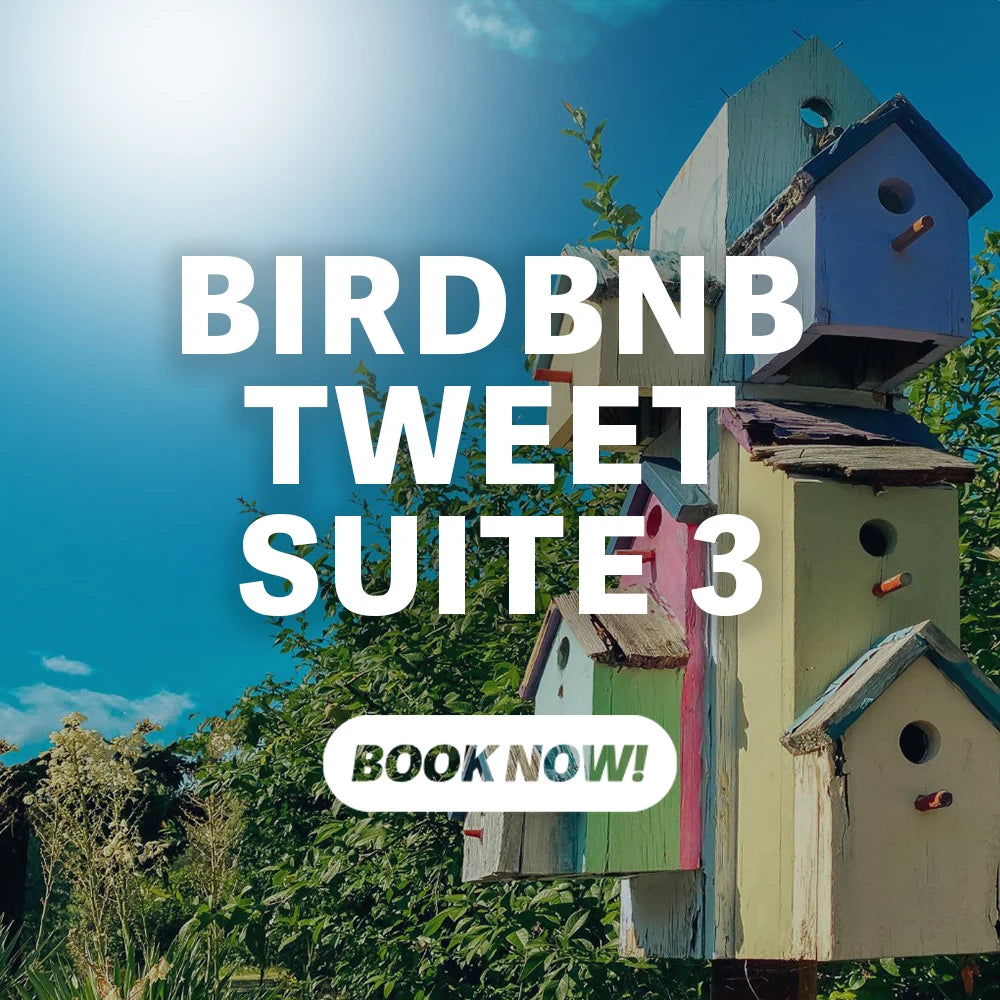 Birdbnb - Tweet Suite 3 from Get Flocked