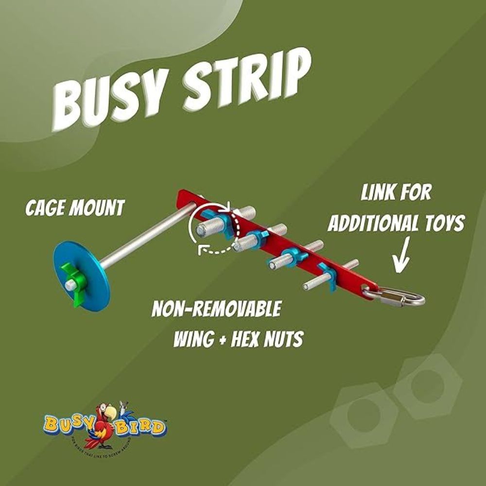 Busy bird outlet toys