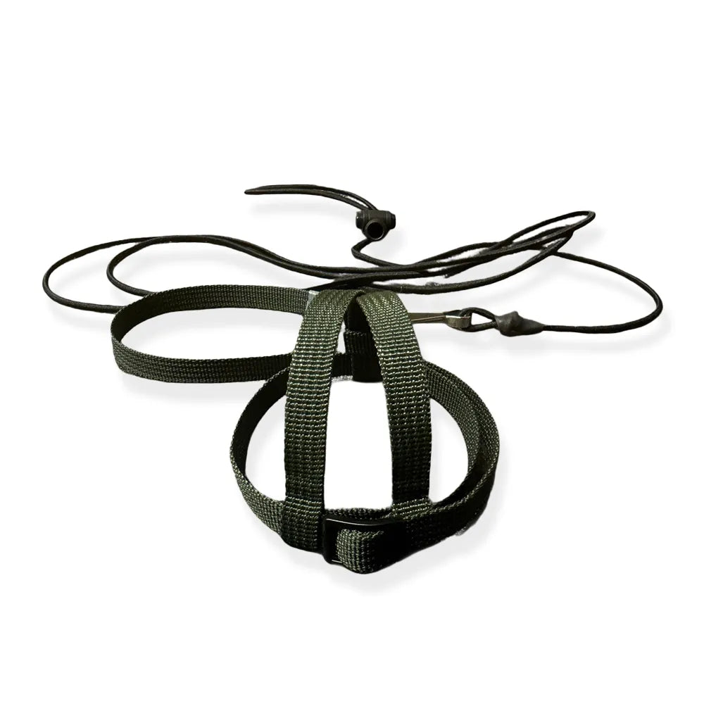 JMK Bird Harness & Leash / Single Colour