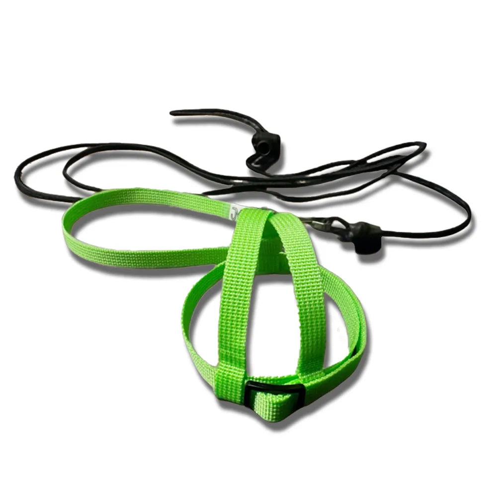 JMK Bird Harness & Leash / Single Colour