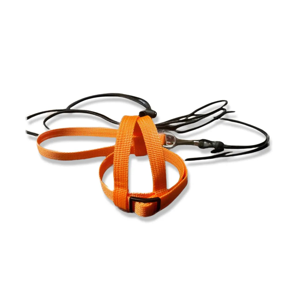 JMK Bird Harness & Leash / Single Colour