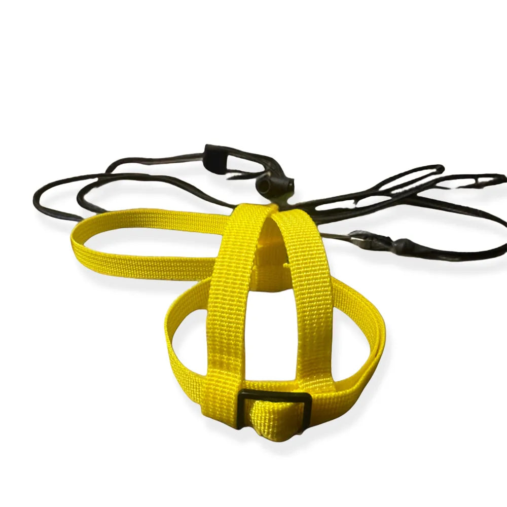 JMK Bird Harness & Leash / Single Colour
