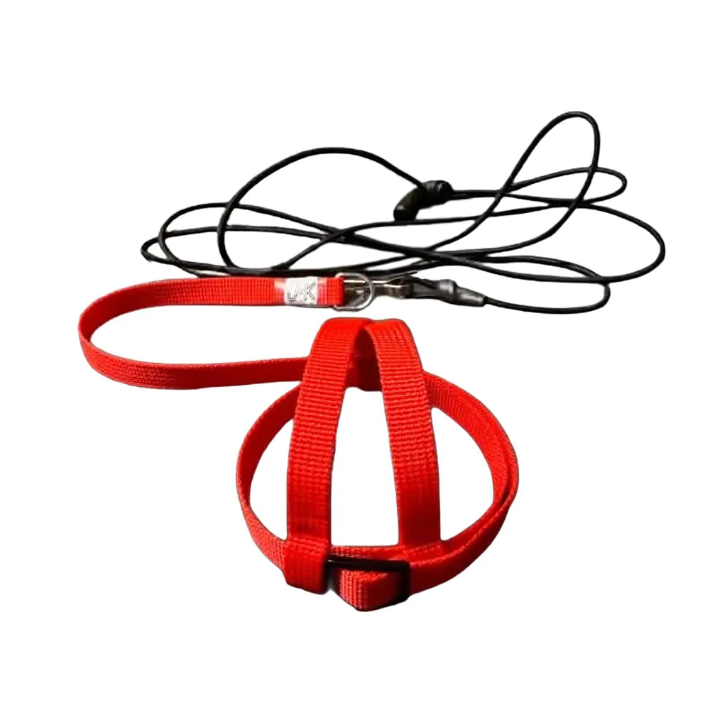 JMK Bird Harness & Leash / Single Colour