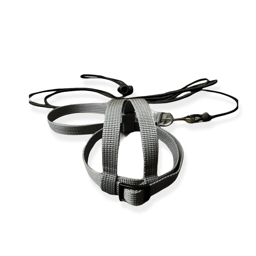 JMK Bird Harness & Leash / Single Colour