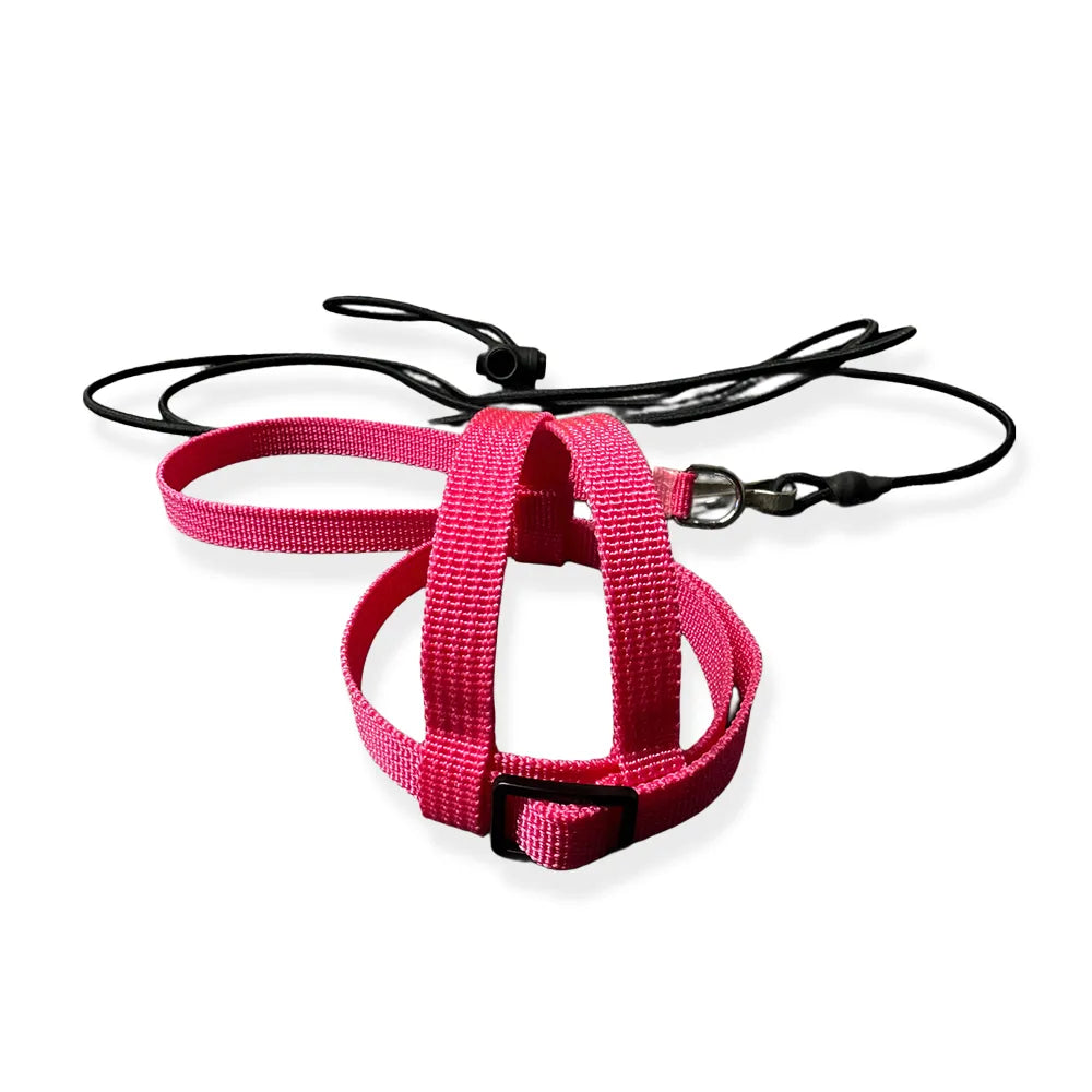 JMK Bird Harness & Leash / Single Colour