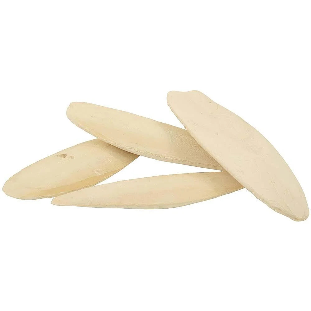 Buy Natural Cuttlebone (Excl. TAS & WA) Online | Get Flocked