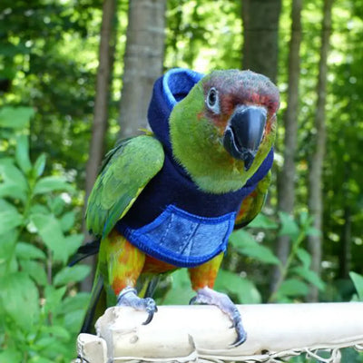 Denim Bird Nerd Hoodie from Avian Fashions