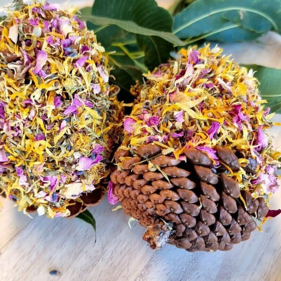 Raw For Birds Floral Pinecone Chews 2 Pk (Excl. TAS & WA) from Raw For Birds