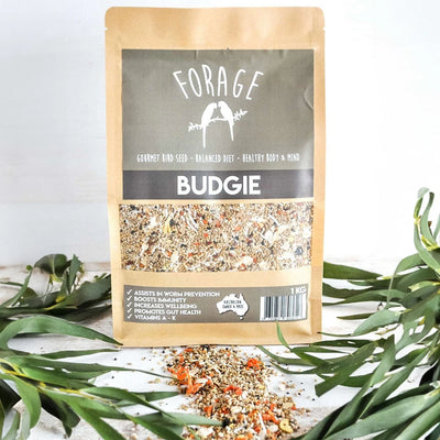 Forage Budgie Mix 1kg (Excl. TAS & WA) from Forage Gourmet Seed