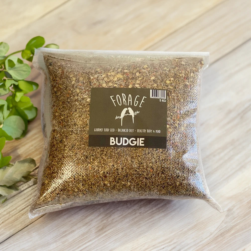 Forage Budgie Mix 5kg (Excl. TAS & WA) from Forage Gourmet Seed