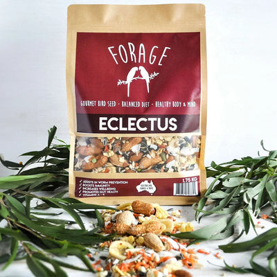 Forage Eclectus Mix 1.75kg (Excl. TAS & WA) from Forage Gourmet Seed