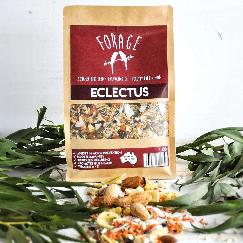 Forage Eclectus Mix 1kg (Excl. TAS & WA) from Forage Gourmet Seed