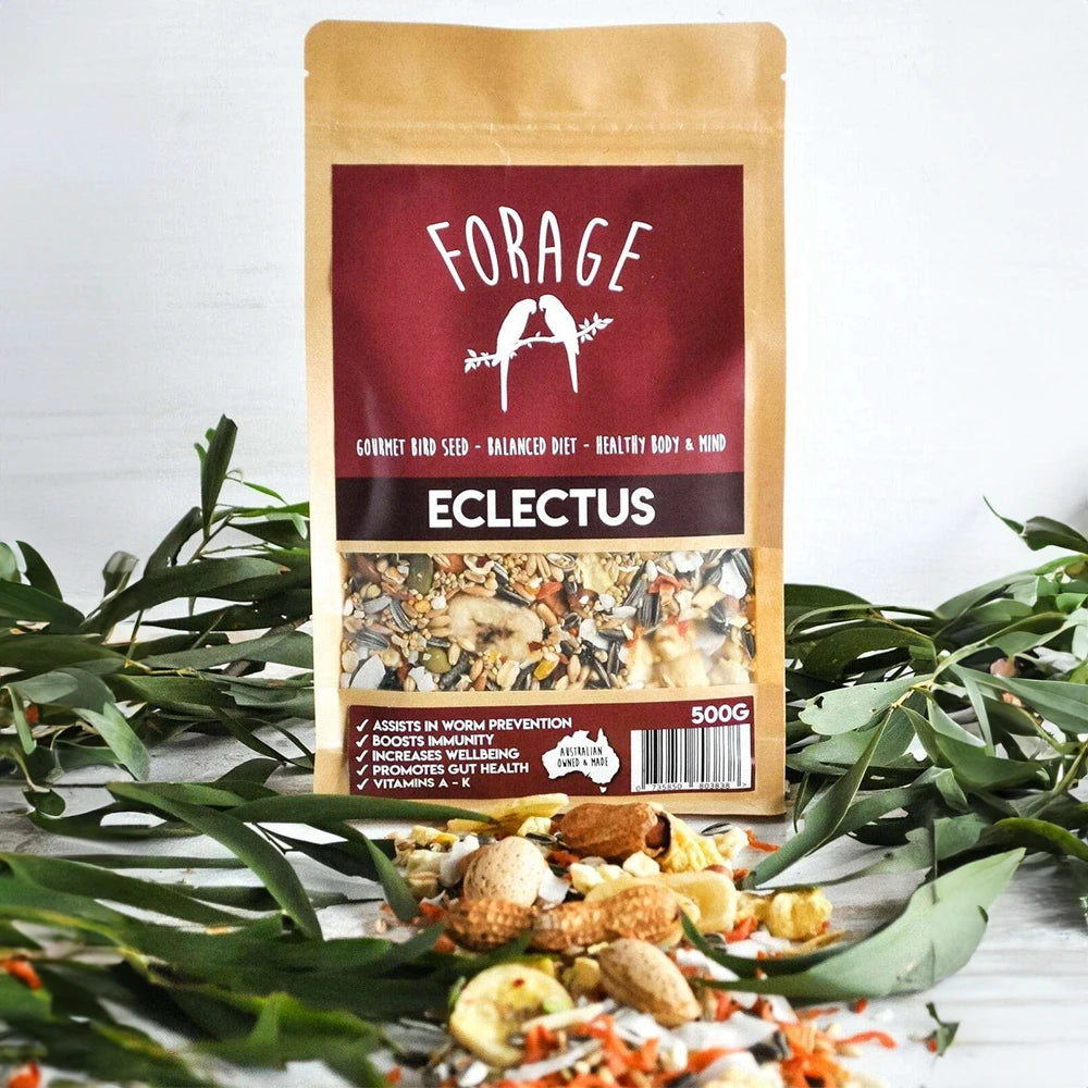 Forage Eclectus Mix 500g (Excl. TAS & WA) from Forage Gourmet Seed