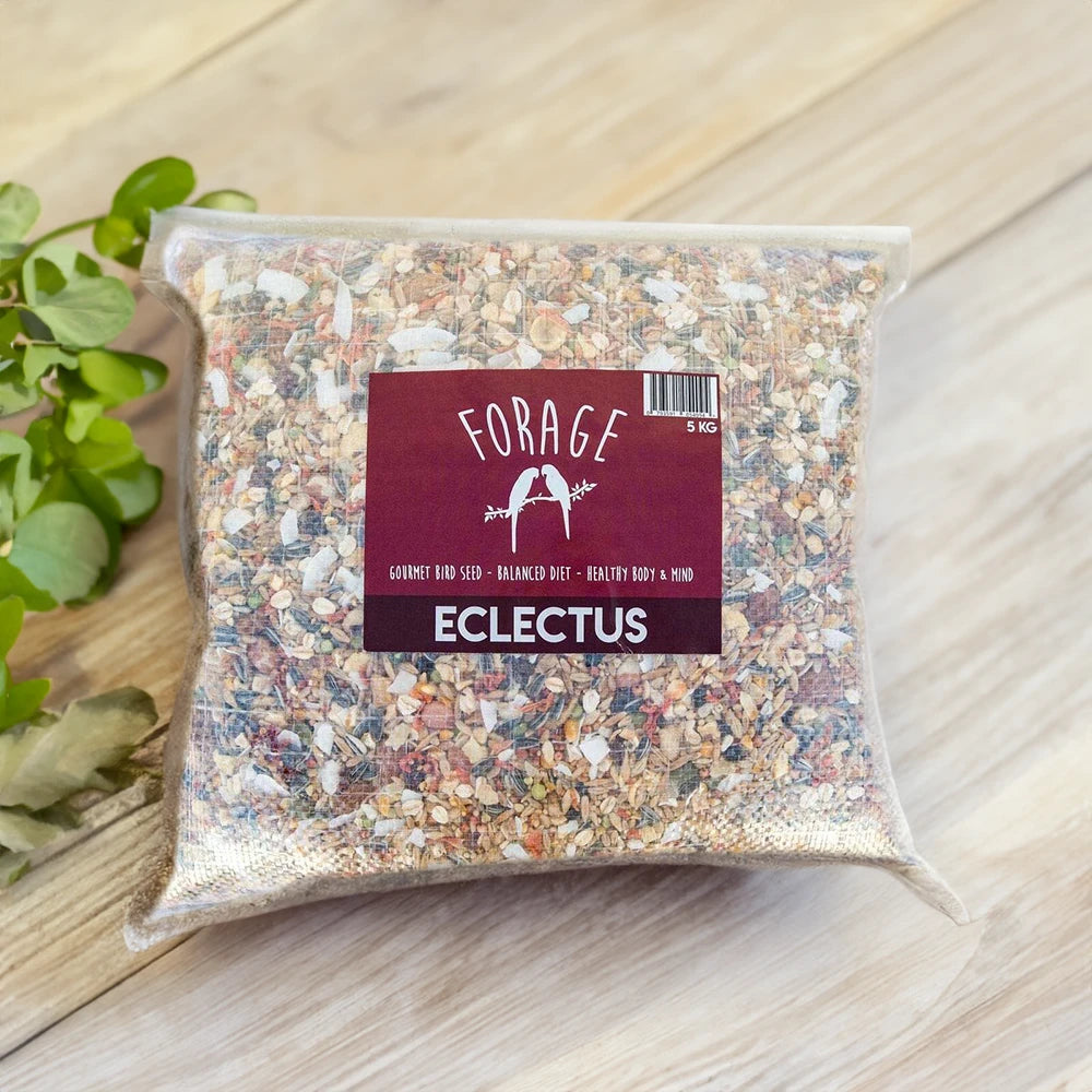 Forage Eclectus Mix 5kg (Excl. TAS & WA) from Forage Gourmet Seed