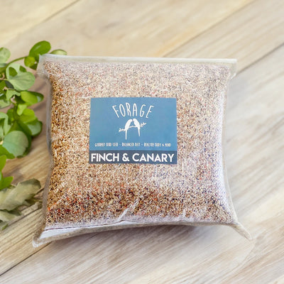 Forage Finch & Canary Mix 5kg (Excl. TAS & WA) from Forage Gourmet Seed