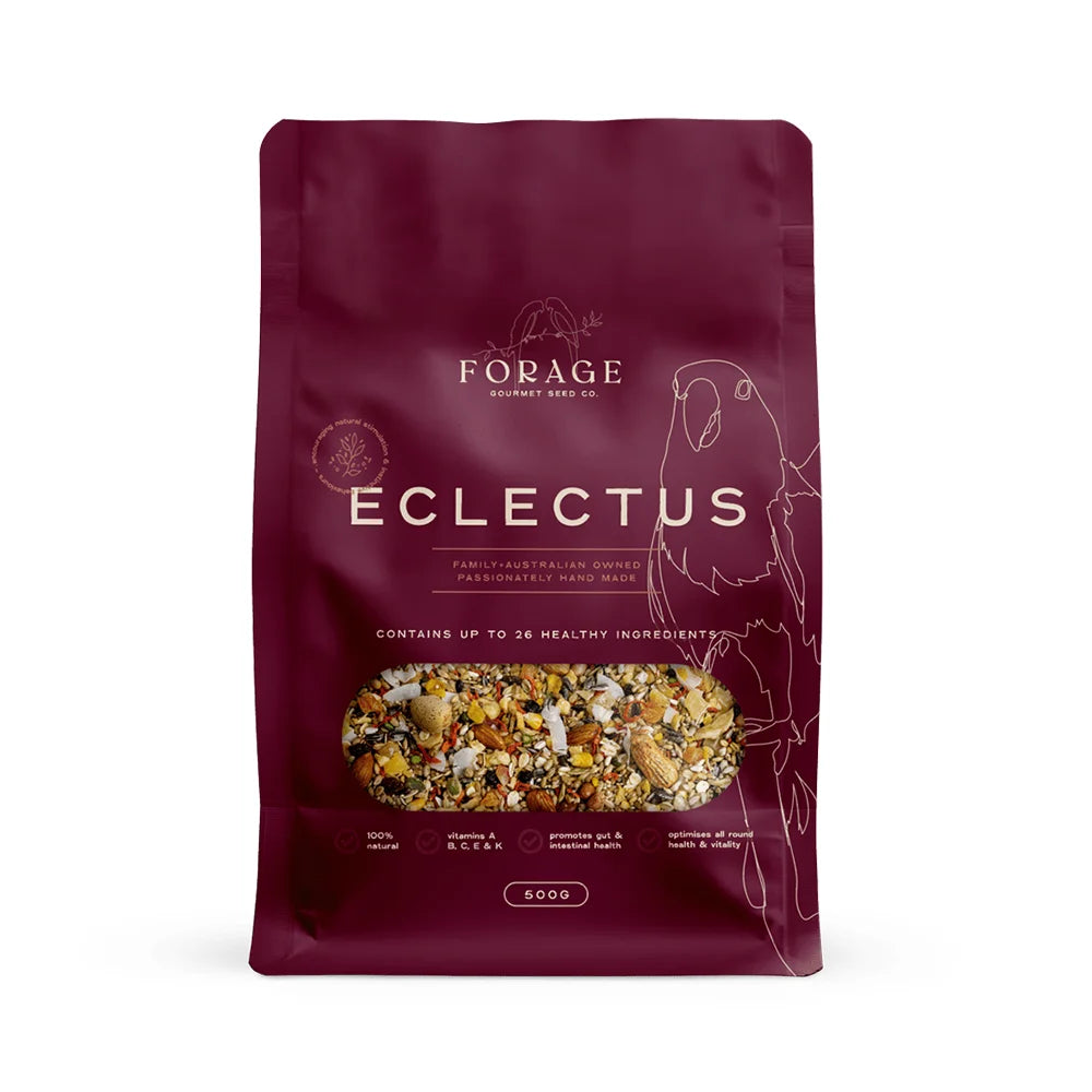 Forage Gourmet Eclectus 500g (Excl. TAS & WA)