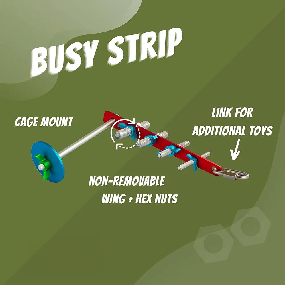 Busy Bird Busy Strip from Busy Bird