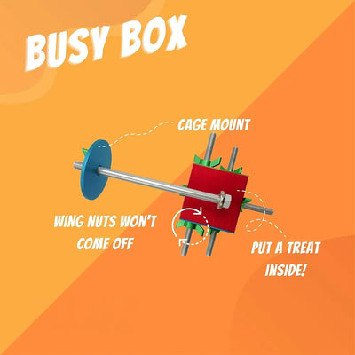 Busy Bird Busy Box from Busy Bird