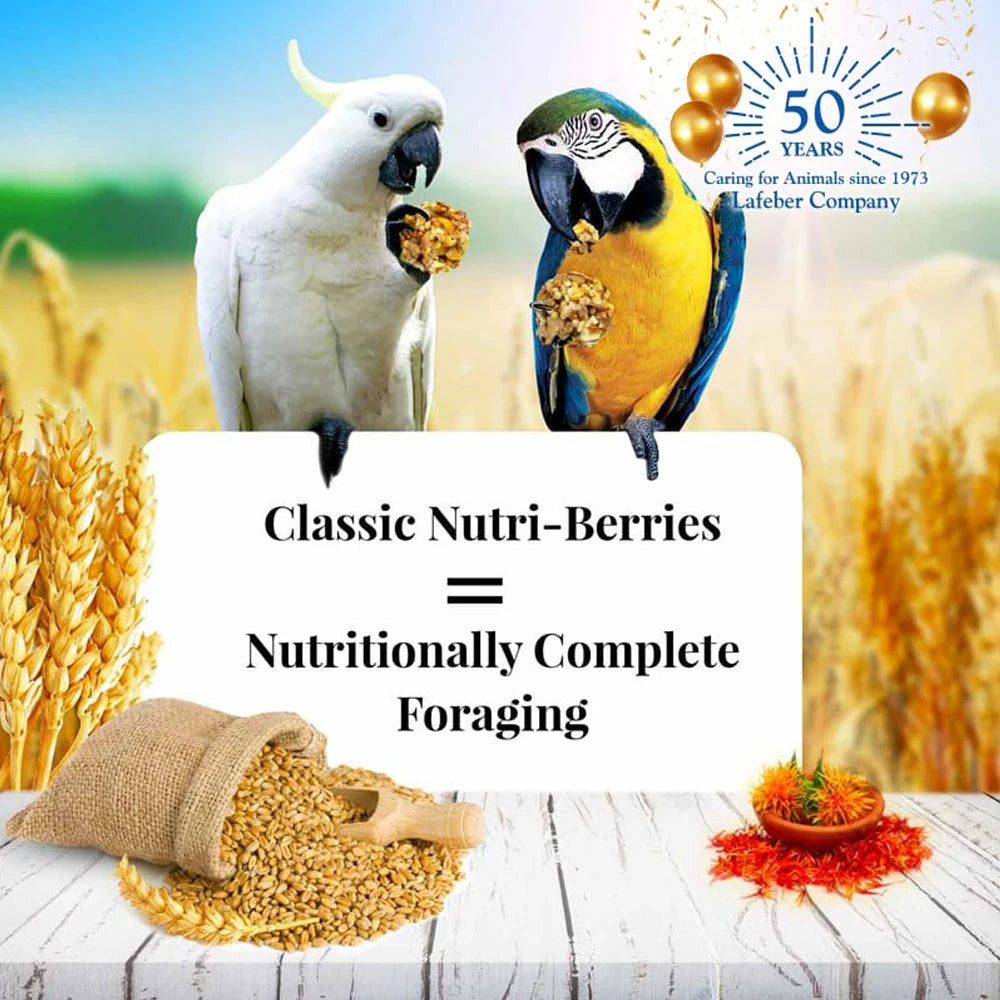 Lafeber Classic Nutri-Berries Macaw & Cockatoo (Excl. TAS & WA) from Lafeber