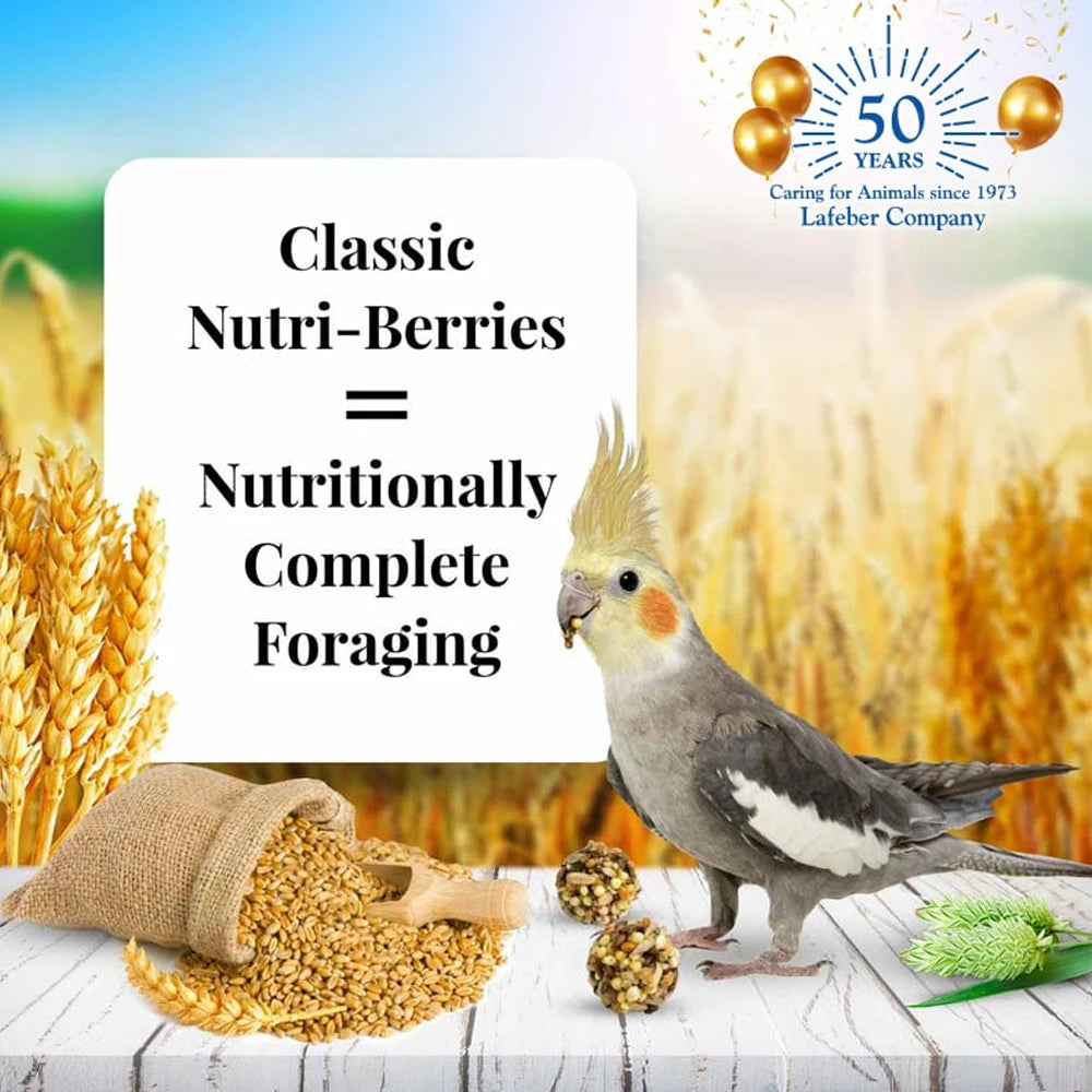 Lafeber Classic Nutri-Berries Cockatiel (Excl. TAS & WA) from Lafeber