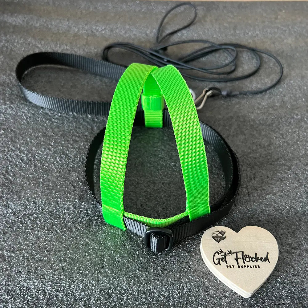 JMK Bird Harness & Leash / Dual Colour from JMK