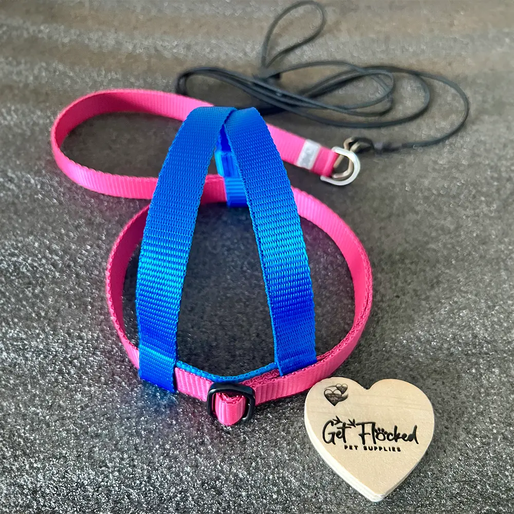 JMK Bird Harness & Leash / Dual Colour from JMK