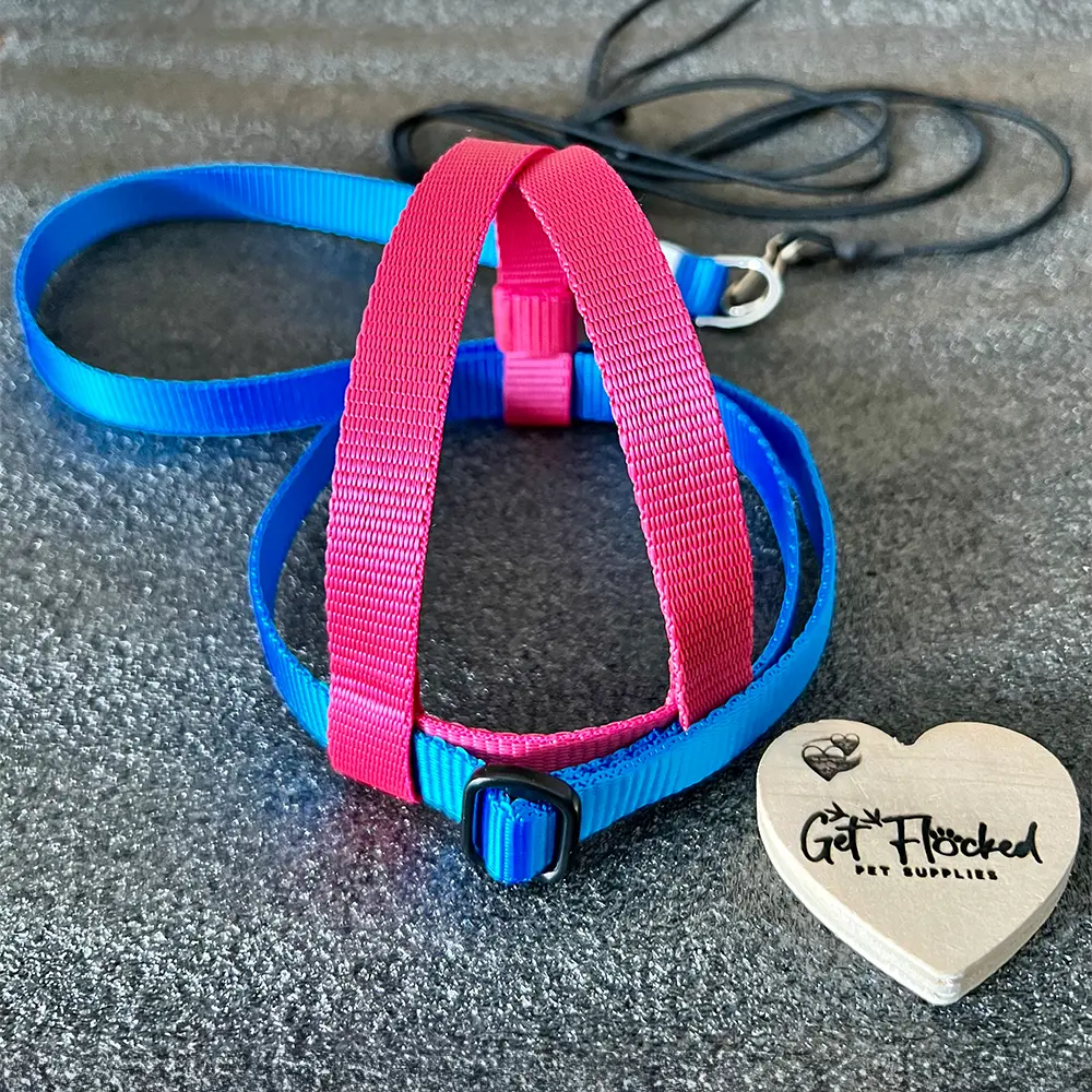 JMK Bird Harness & Leash / Dual Colour from JMK