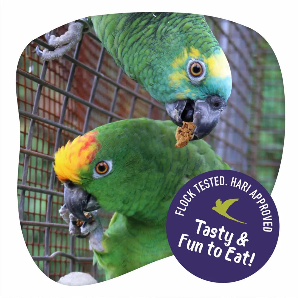 Little Foragers Chili Snaps 125g