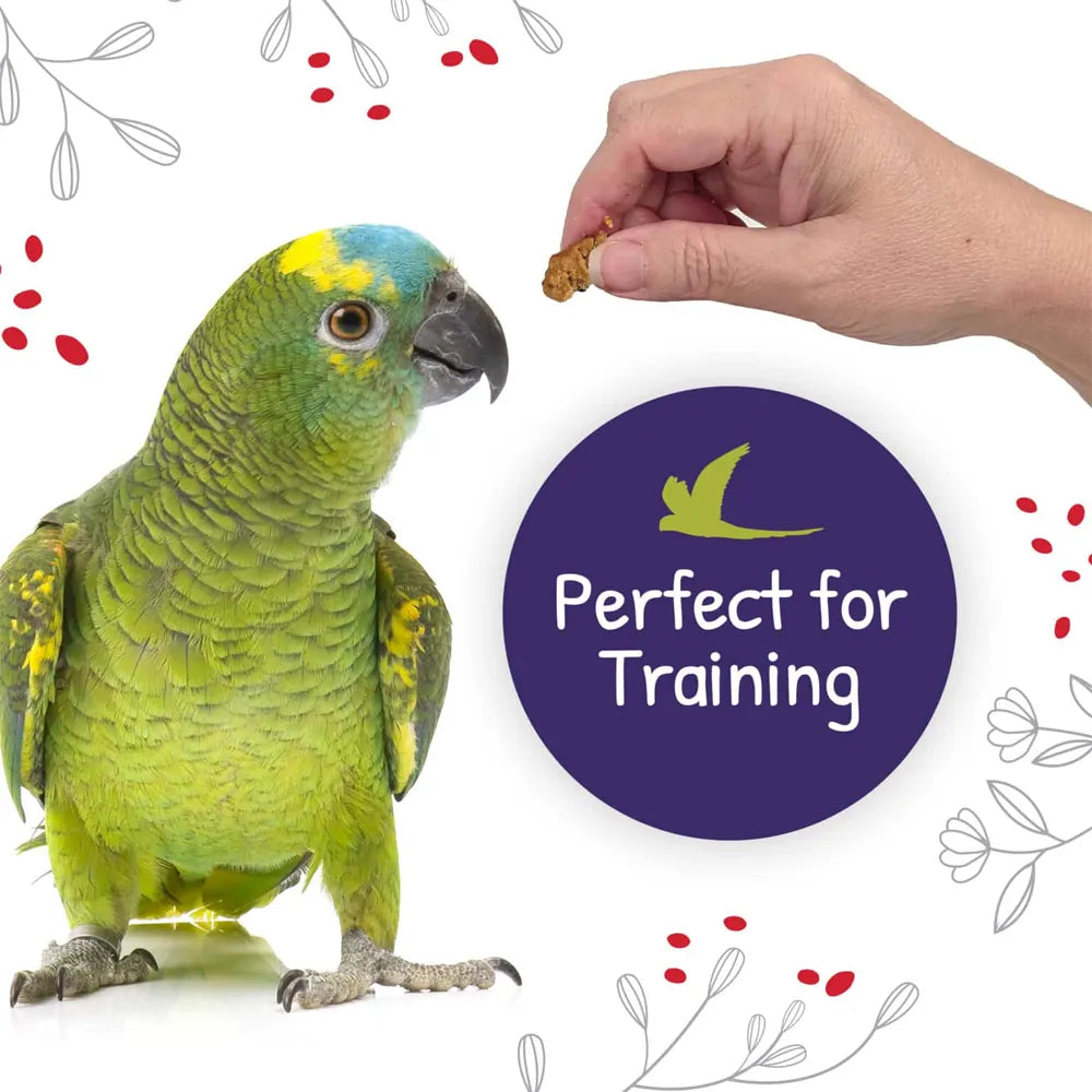 Little Foragers Chili Snaps 125g