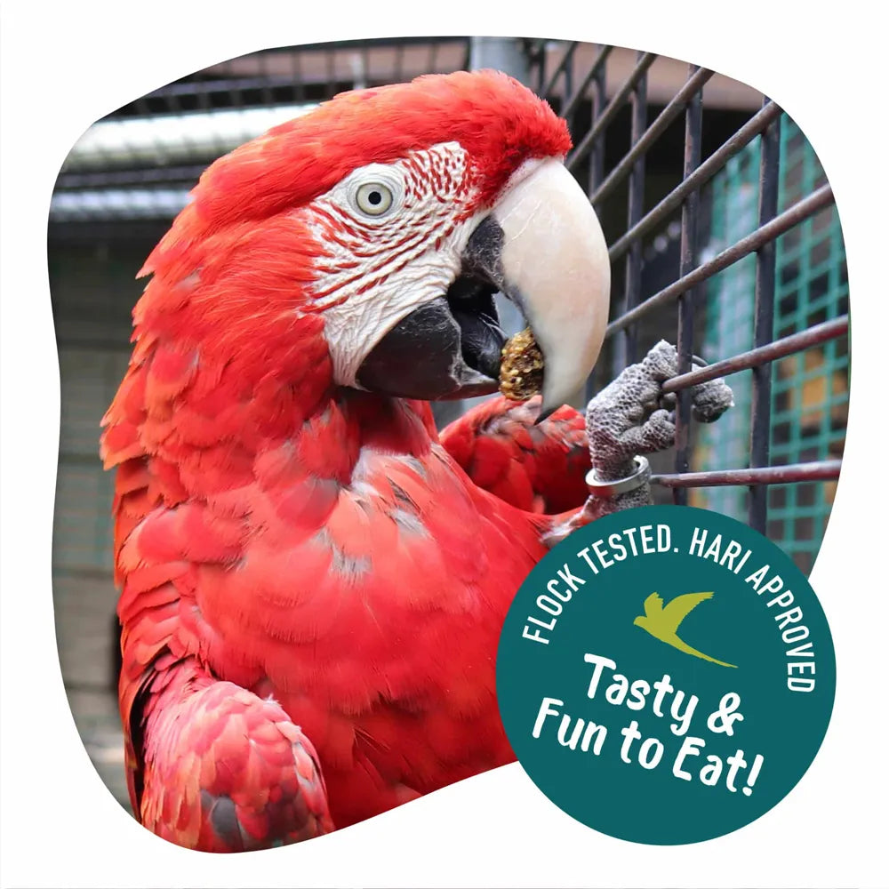 Little Foragers Veggie Nuggets 525g