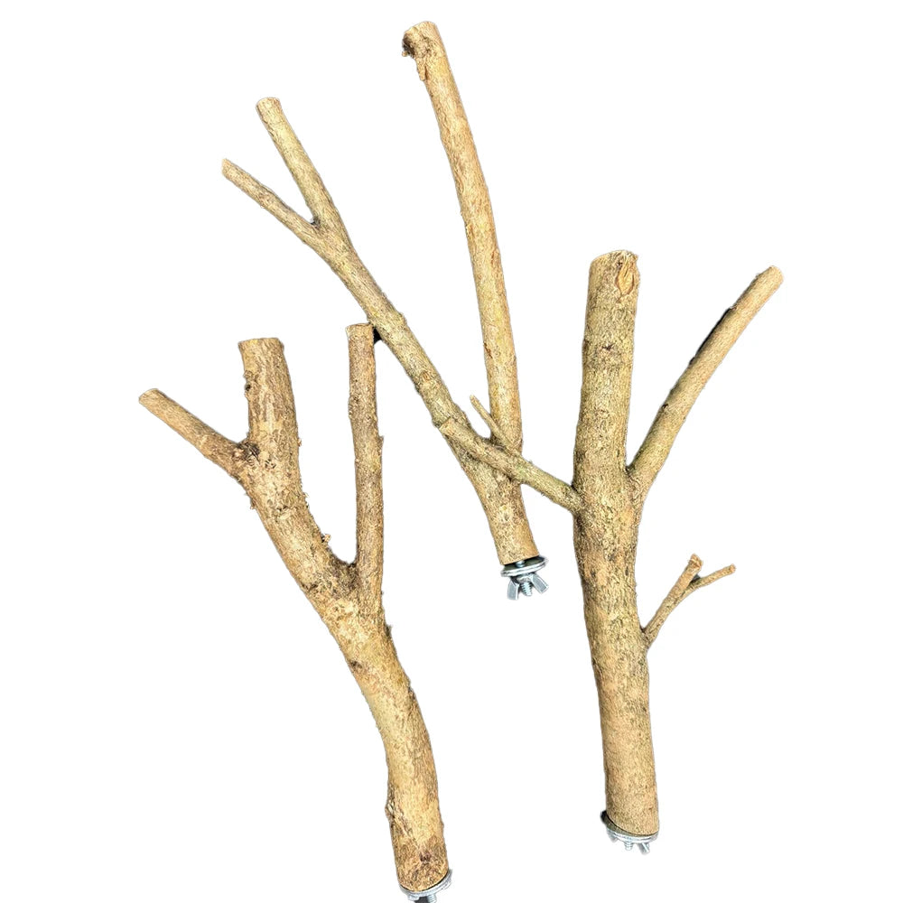 Natural Multi Branch Perch (Excl. TAS & WA) from Get Flocked