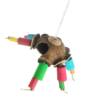 Nino's Java Coco Spider