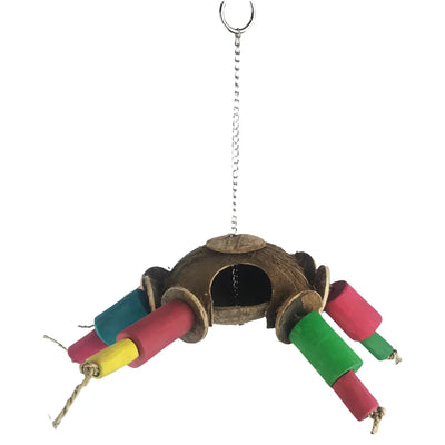 Nino's Java Coco Spider