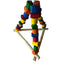 Nino's Java Medium Triangle Swing