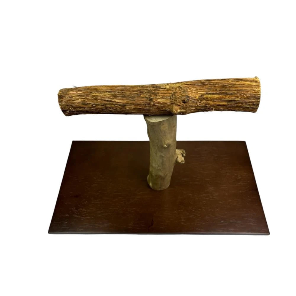 Nino's Java Parrot T Stand