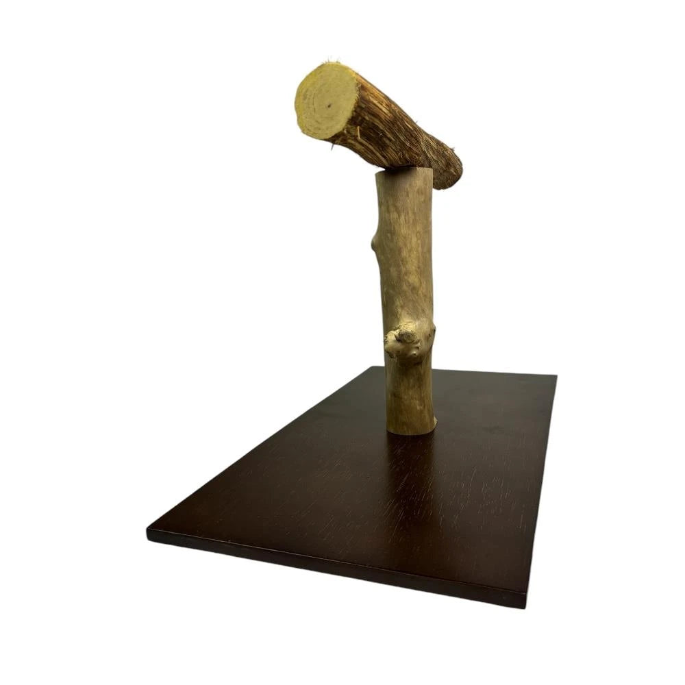 Nino's Java Parrot T Stand