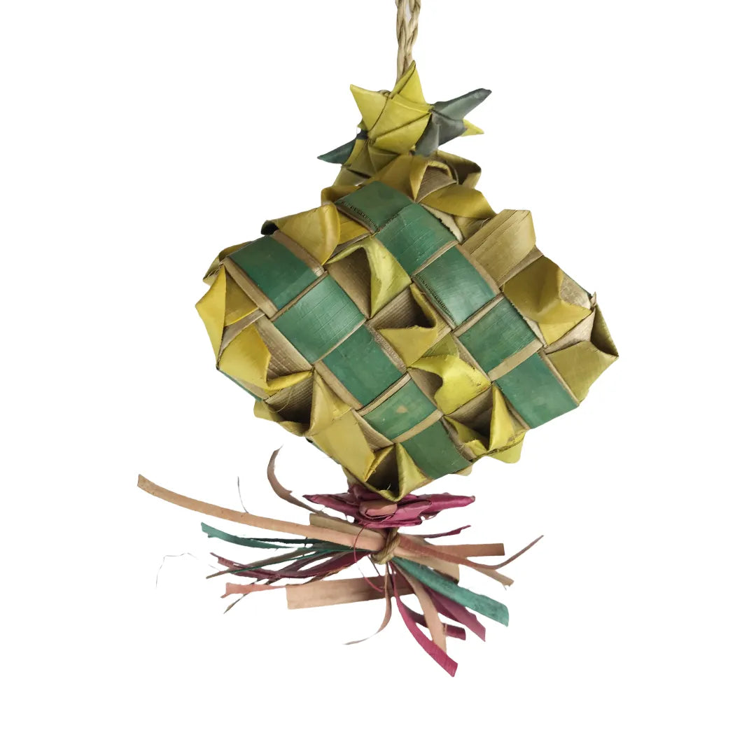 Nino's Java Pinata