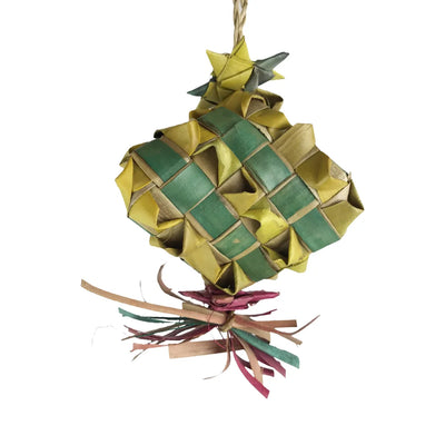 Nino's Java Pinata