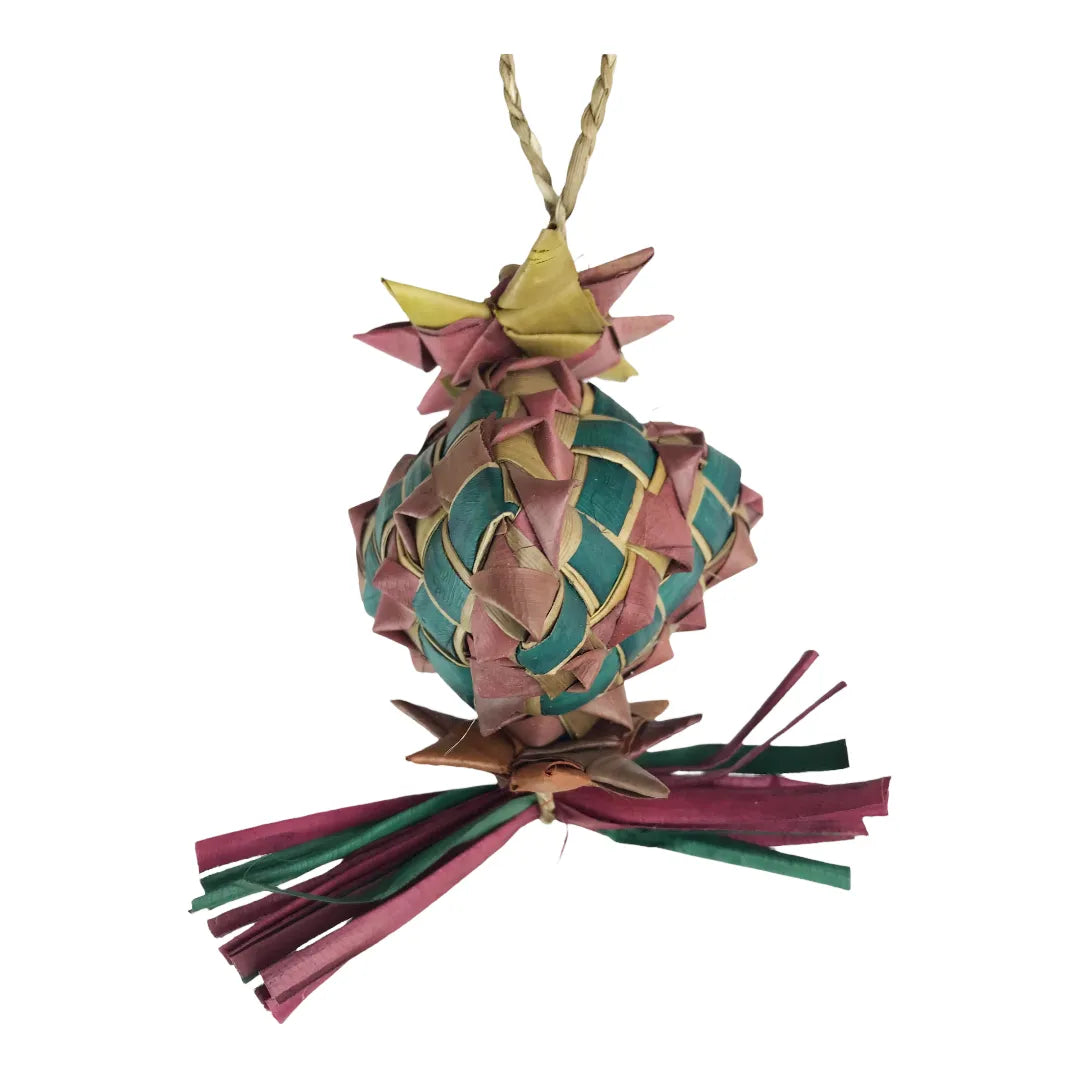Nino's Java Pinata