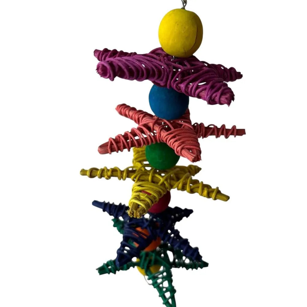 Nino's Java Star Gazer