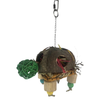 Nino's Java Turtle Forage