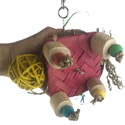 Nino's Java Turtle Forage