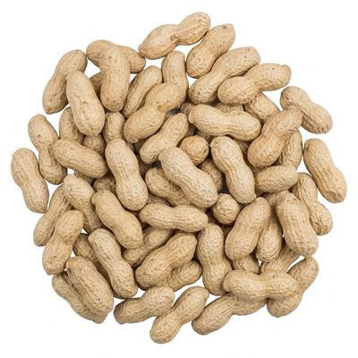 Peanuts In Shell (Excl. TAS & WA)