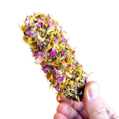 Raw For Birds Floral Banksia Chews 2 Pk (Excl. TAS & WA)