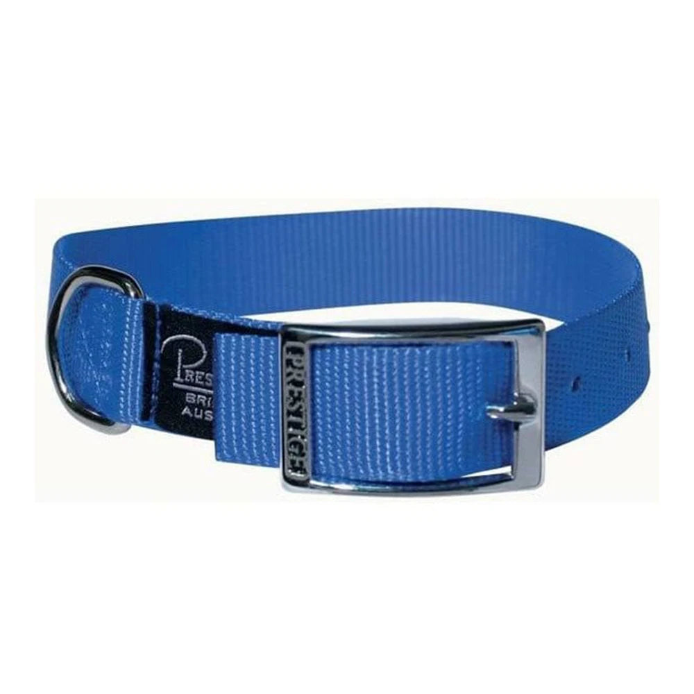 Single Layer Nylon Collar 1" from Prestige Pet Products